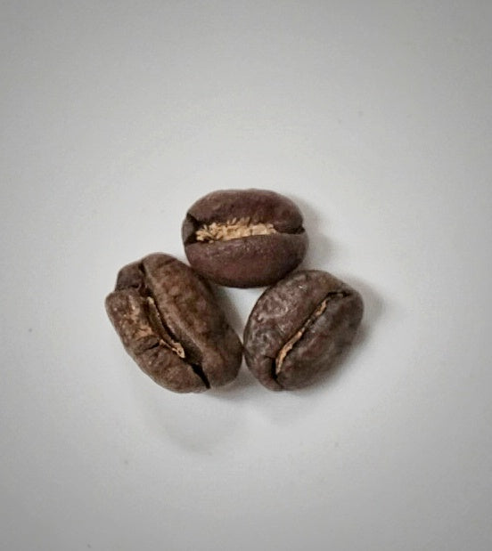 Specialty Single Origin